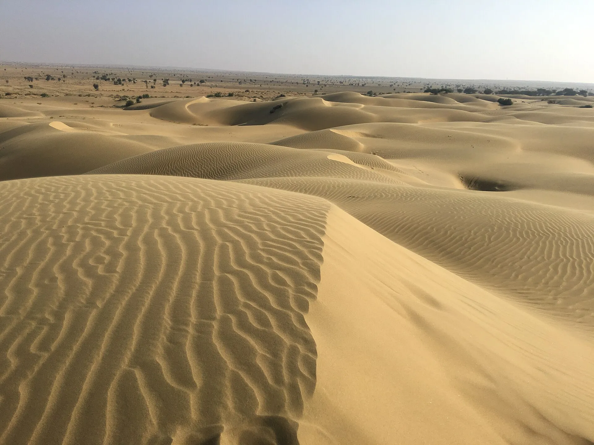 Christmas on the Dunes — festive desert celebration in Jaisalmer