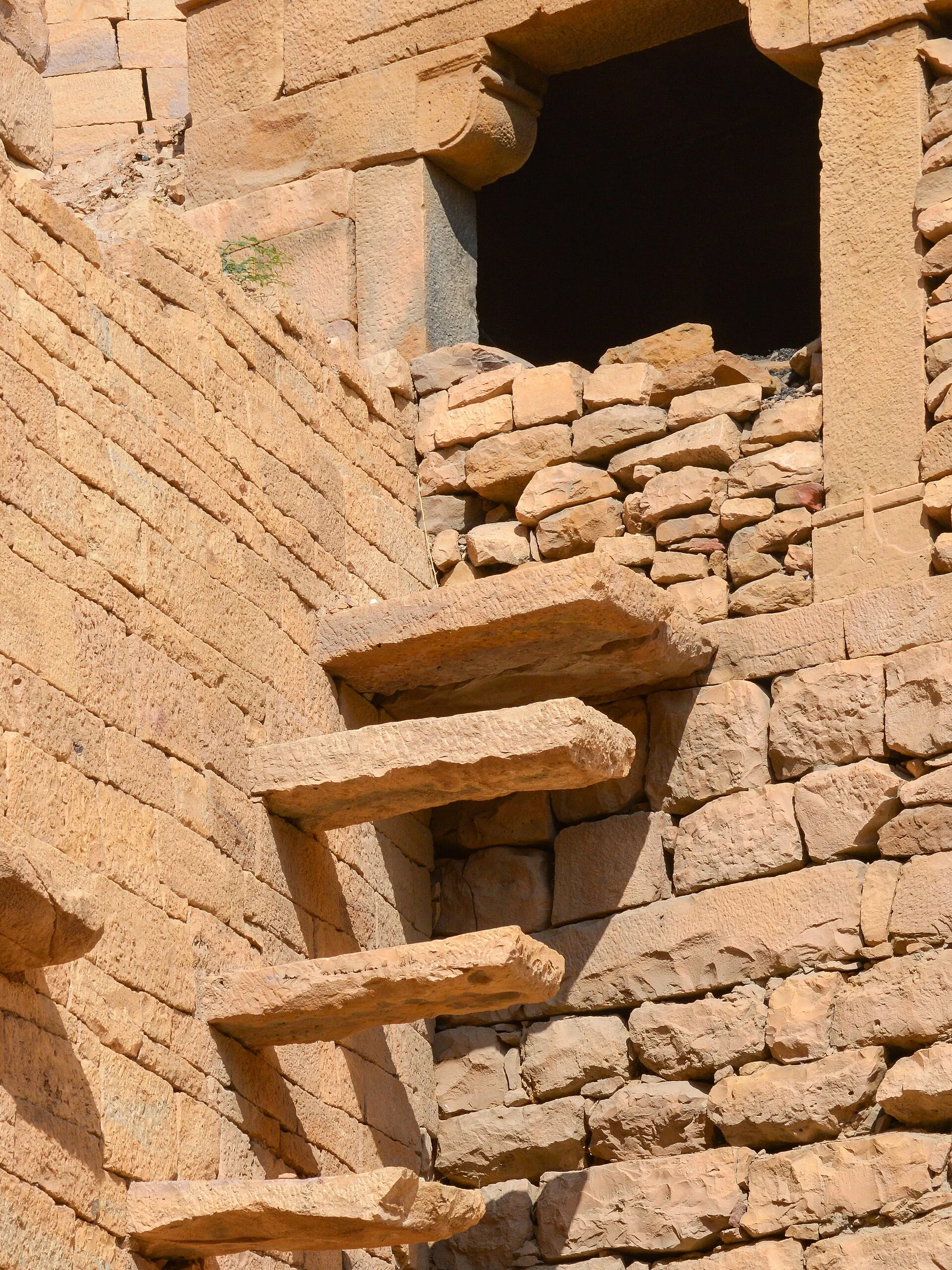 Real Desert Camel Safari — camel safari in the Thar desert, Jaisalmer